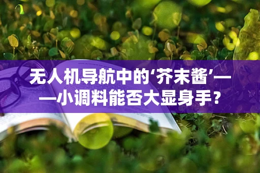无人机导航中的‘芥末酱’——小调料能否大显身手？