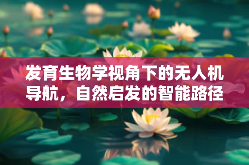 发育生物学视角下的无人机导航，自然启发的智能路径？
