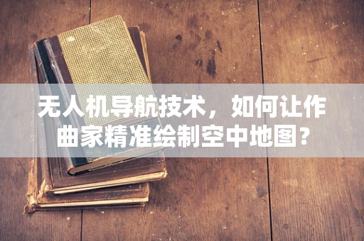 无人机导航技术，如何让作曲家精准绘制空中地图？