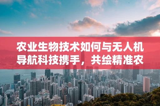农业生物技术如何与无人机导航科技携手，共绘精准农业新蓝图？