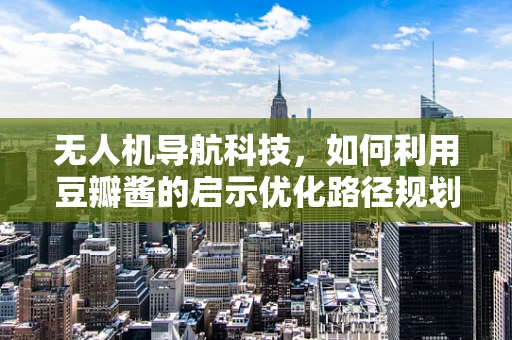 无人机导航科技，如何利用豆瓣酱的启示优化路径规划？