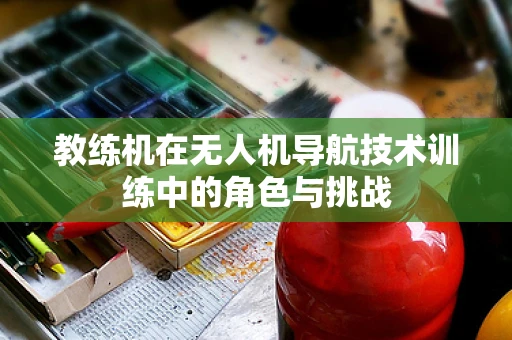 教练机在无人机导航技术训练中的角色与挑战
