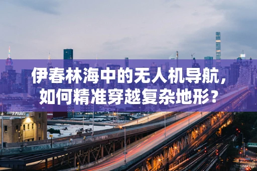 伊春林海中的无人机导航，如何精准穿越复杂地形？