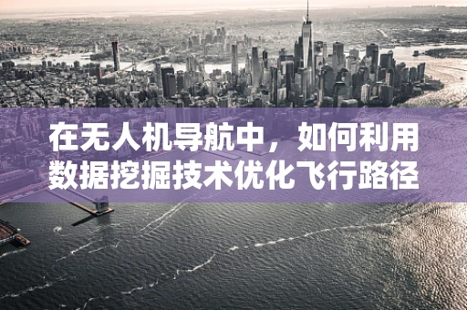 在无人机导航中，如何利用数据挖掘技术优化飞行路径？