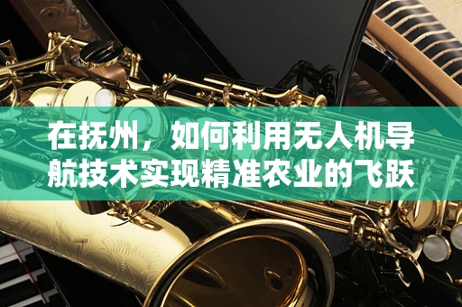 在抚州，如何利用无人机导航技术实现精准农业的飞跃？