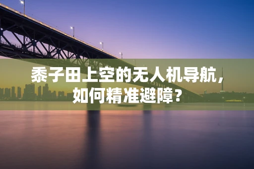 黍子田上空的无人机导航，如何精准避障？