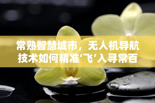 常熟智慧城市，无人机导航技术如何精准‘飞’入寻常百姓家？