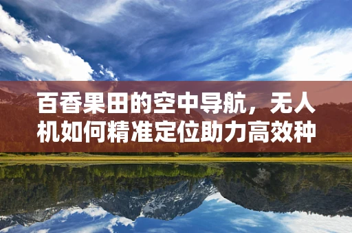 百香果田的空中导航，无人机如何精准定位助力高效种植？