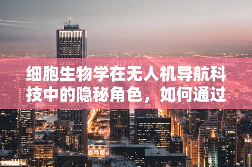 细胞生物学在无人机导航科技中的隐秘角色，如何通过生物启发的导航策略提升无人机性能？