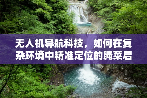 无人机导航科技，如何在复杂环境中精准定位的腌菜启示