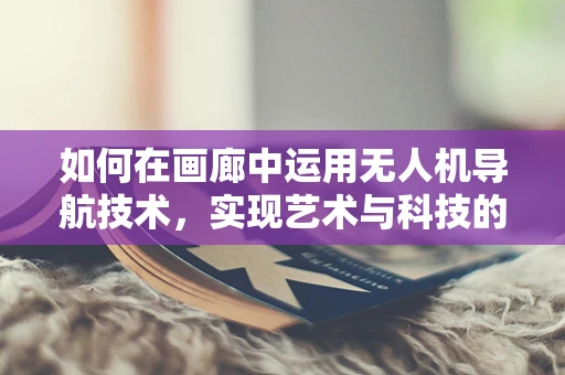 如何在画廊中运用无人机导航技术，实现艺术与科技的完美融合？