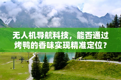 无人机导航科技，能否通过烤鸭的香味实现精准定位？