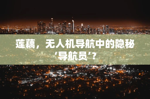 莲藕，无人机导航中的隐秘‘导航员’？