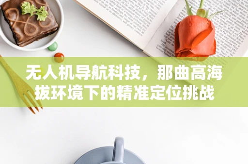 无人机导航科技，那曲高海拔环境下的精准定位挑战