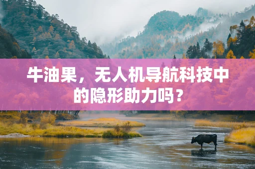 牛油果，无人机导航科技中的隐形助力吗？