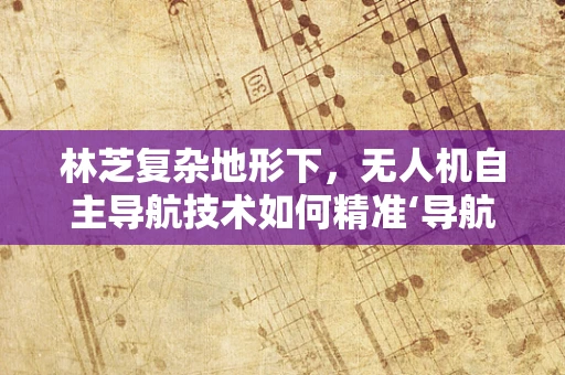 林芝复杂地形下，无人机自主导航技术如何精准‘导航’？