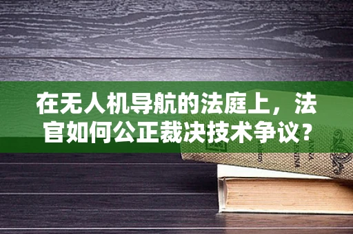 在无人机导航的法庭上，法官如何公正裁决技术争议？