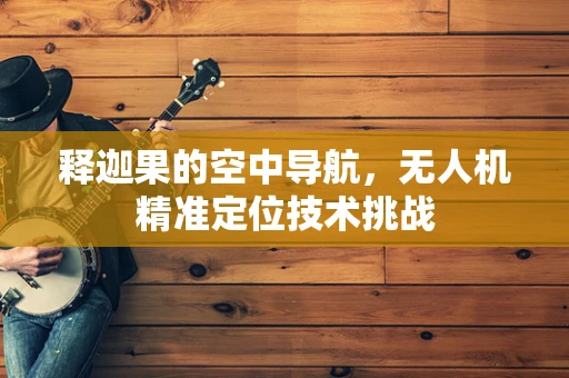 释迦果的空中导航，无人机精准定位技术挑战
