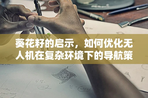葵花籽的启示，如何优化无人机在复杂环境下的导航策略？
