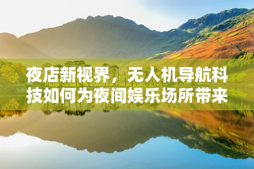 夜店新视界，无人机导航科技如何为夜间娱乐场所带来安全与乐趣？