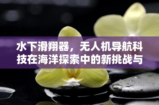 水下滑翔器，无人机导航科技在海洋探索中的新挑战与机遇？