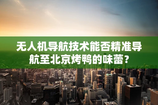 无人机导航技术能否精准导航至北京烤鸭的味蕾？