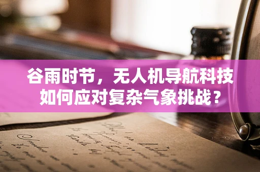 谷雨时节，无人机导航科技如何应对复杂气象挑战？