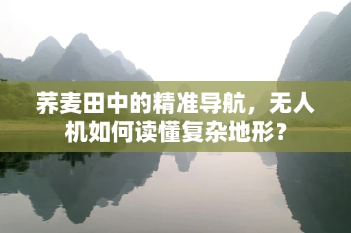 荞麦田中的精准导航，无人机如何读懂复杂地形？