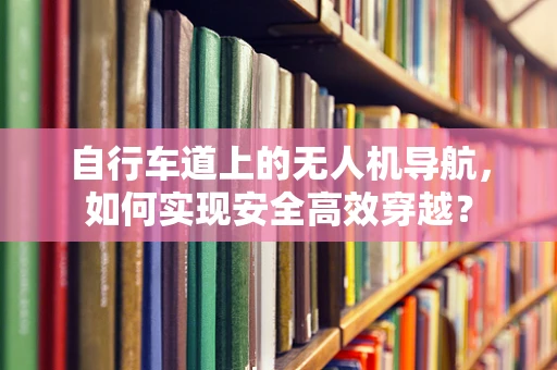 自行车道上的无人机导航，如何实现安全高效穿越？