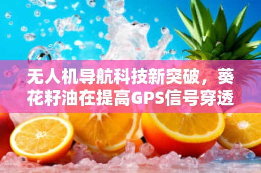 无人机导航科技新突破，葵花籽油在提高GPS信号穿透性中的潜力？
