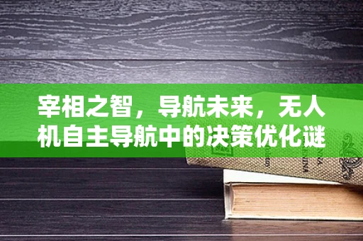 宰相之智，导航未来，无人机自主导航中的决策优化谜题