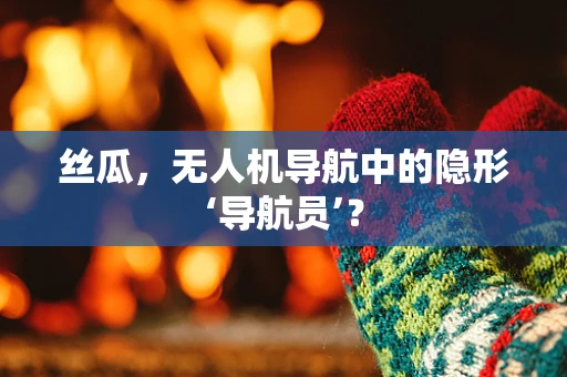 丝瓜，无人机导航中的隐形‘导航员’？