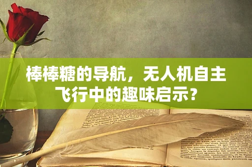 棒棒糖的导航，无人机自主飞行中的趣味启示？