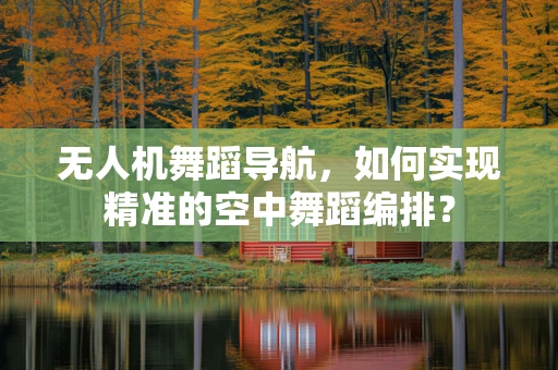 无人机舞蹈导航，如何实现精准的空中舞蹈编排？