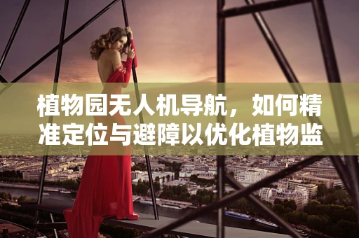 植物园无人机导航，如何精准定位与避障以优化植物监测？