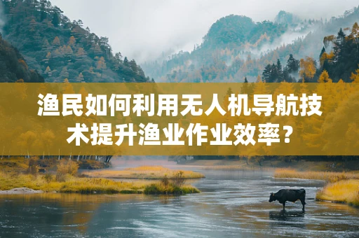 渔民如何利用无人机导航技术提升渔业作业效率？