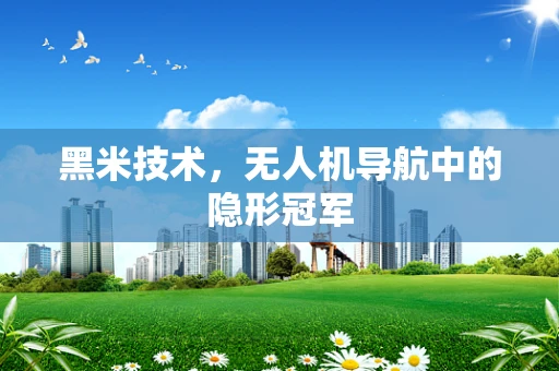 黑米技术，无人机导航中的隐形冠军