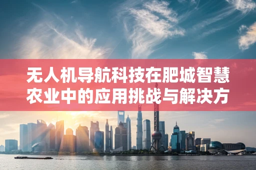 无人机导航科技在肥城智慧农业中的应用挑战与解决方案