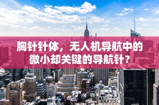 胸针针体，无人机导航中的微小却关键的导航针？