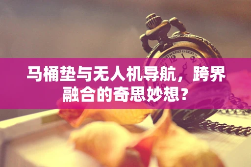 马桶垫与无人机导航，跨界融合的奇思妙想？