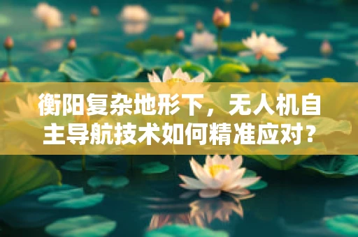 衡阳复杂地形下，无人机自主导航技术如何精准应对？