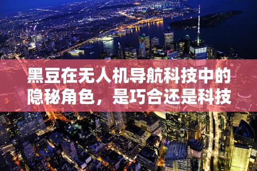 黑豆在无人机导航科技中的隐秘角色，是巧合还是科技新突破？