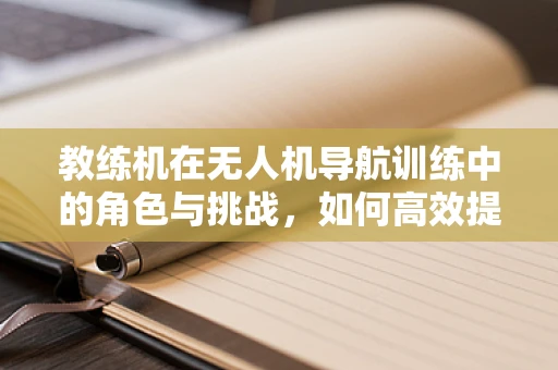 教练机在无人机导航训练中的角色与挑战，如何高效提升学员的自主飞行能力？