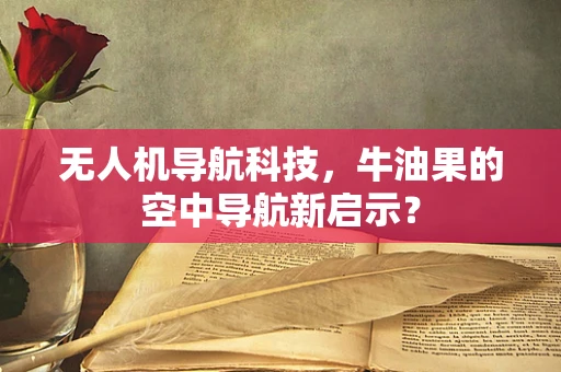 无人机导航科技，牛油果的空中导航新启示？
