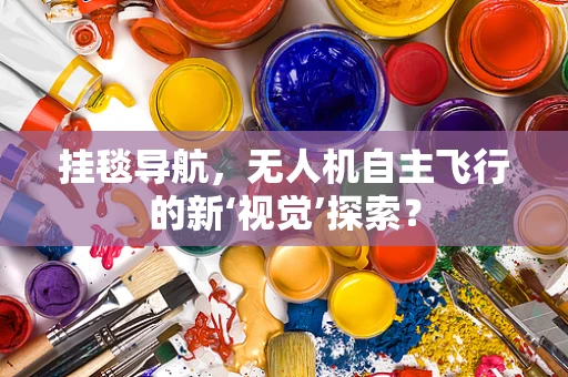 挂毯导航，无人机自主飞行的新‘视觉’探索？