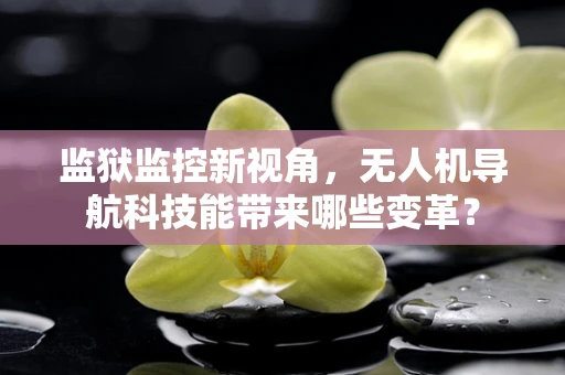 监狱监控新视角，无人机导航科技能带来哪些变革？