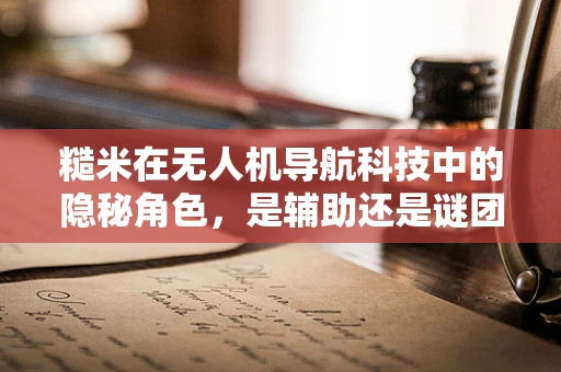 糙米在无人机导航科技中的隐秘角色，是辅助还是谜团？