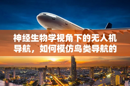 神经生物学视角下的无人机导航，如何模仿鸟类导航的智慧？