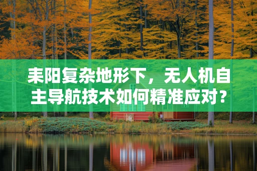 耒阳复杂地形下，无人机自主导航技术如何精准应对？