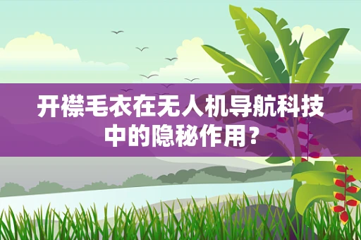 开襟毛衣在无人机导航科技中的隐秘作用？